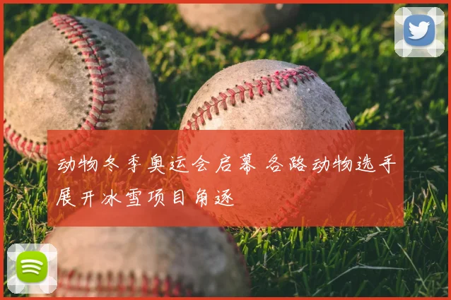 动物冬季奥运会启幕 各路动物选手展开冰雪项目角逐