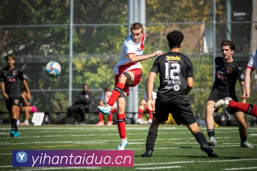 足球世界杯官网中文版平台生态图